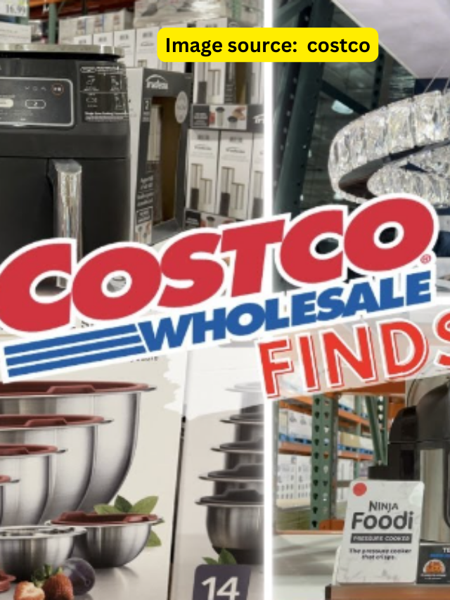 4 Costco Kitchen Appliances That Are A Waste Of Money 